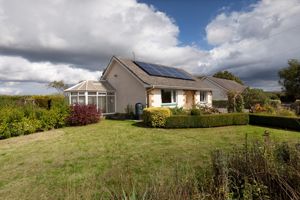 Front Garden- click for photo gallery